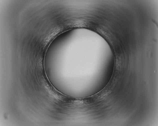 X0000102870394200808251246