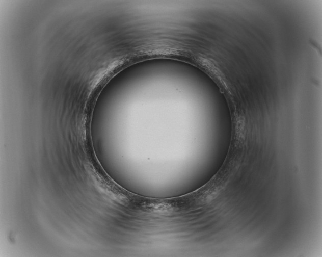 X0000102870395200808251246