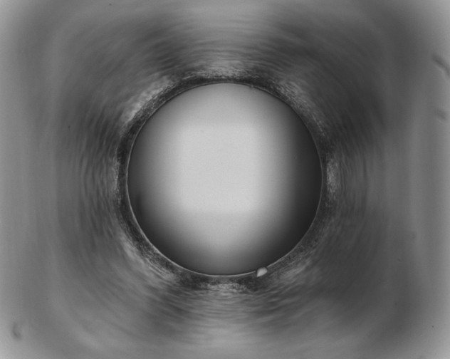 X0000102870396200808251246