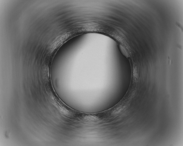 X0000102870397200808251246