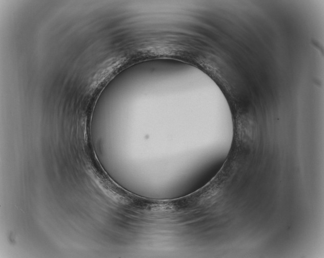 X0000102870398200808251246