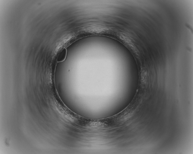 X0000102870399200808251246