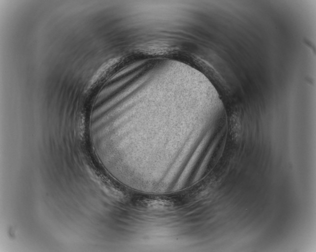 X0000102870400200808251246