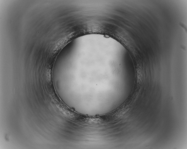 X0000102870401200808251246