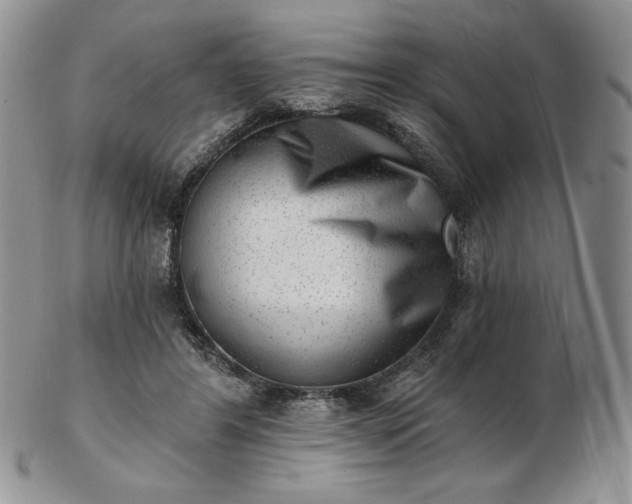 X0000102870404200808251246