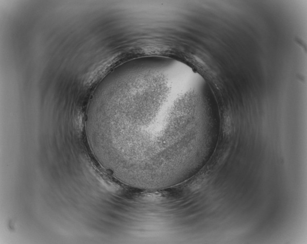 X0000102870405200808251246