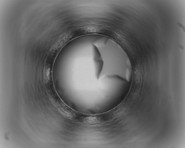 X0000102870406200808251246