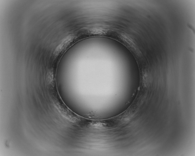 X0000102870407200808251246