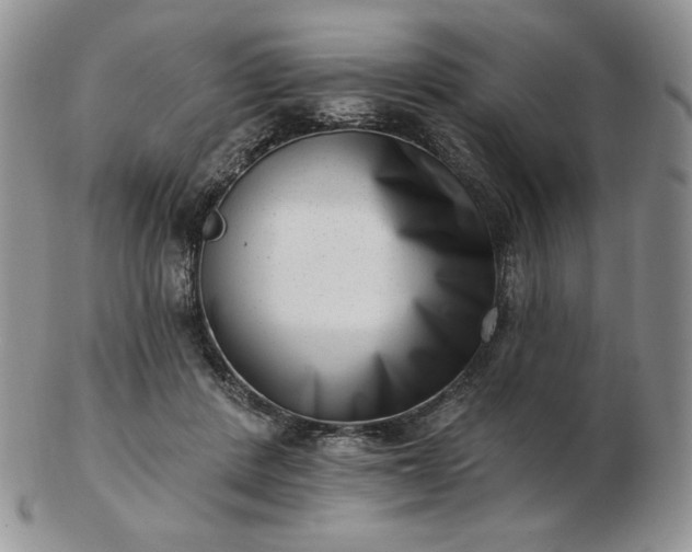 X0000102870408200808251246