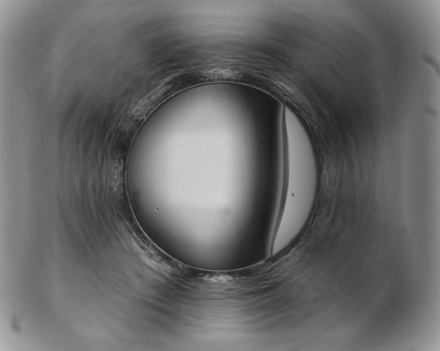 X0000102870409200808251246