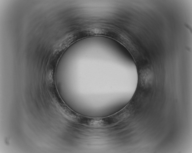 X0000102870410200808251246