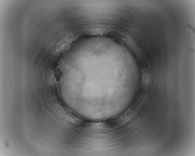 X0000102870411200808251246