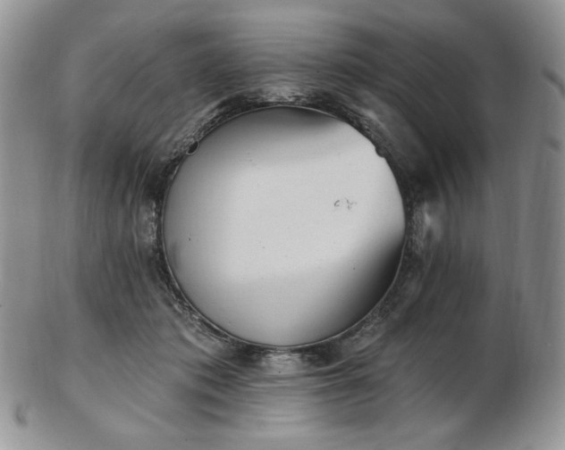 X0000102870413200808251246