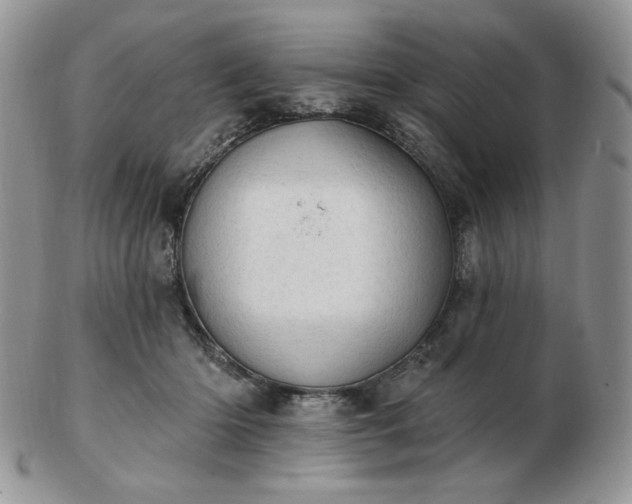 X0000102870414200808251246