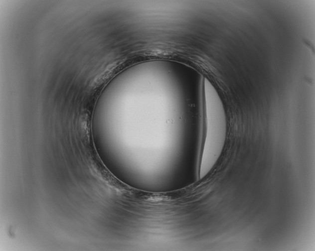 X0000102870415200808251246