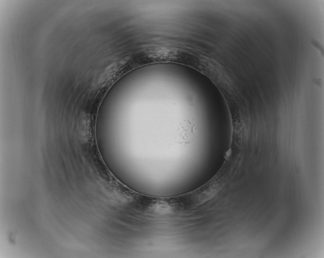 X0000102870416200808251246