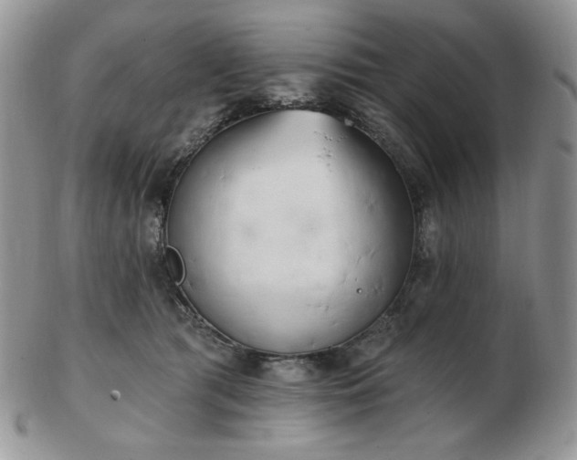 X0000102870417200808251246