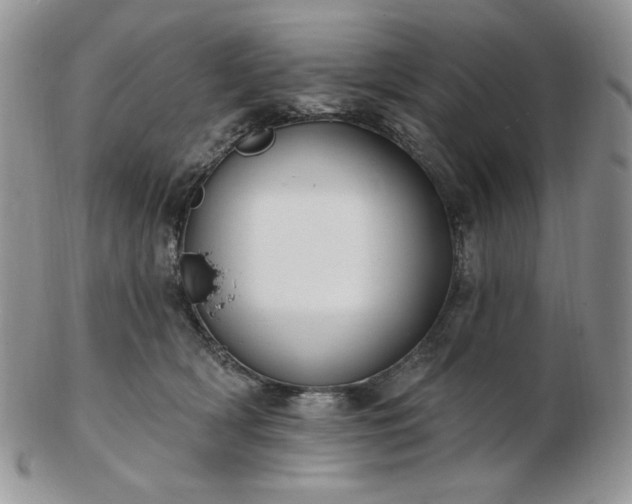 X0000102870418200808251245