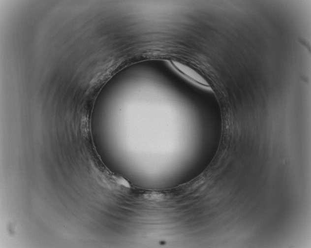 X0000102870419200808251245