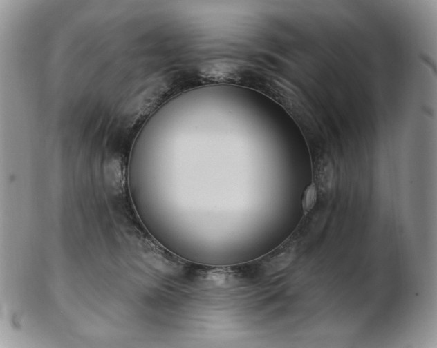 X0000102870420200808251245