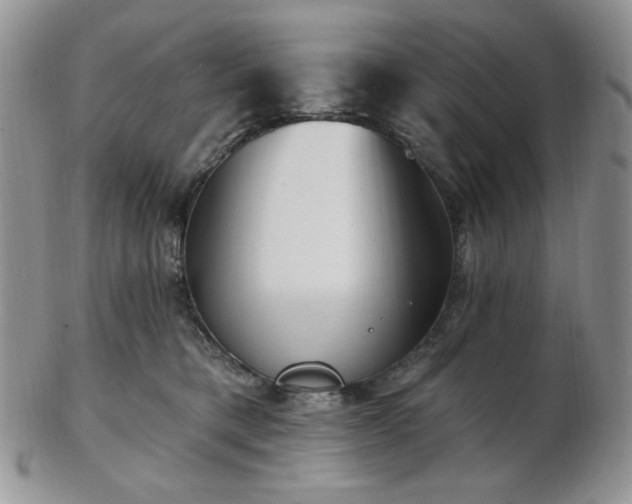 X0000102870421200808251245