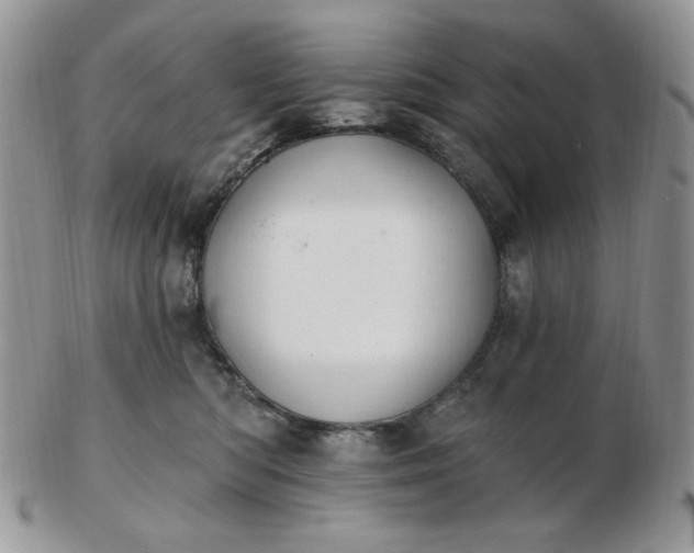 X0000102870422200808251245