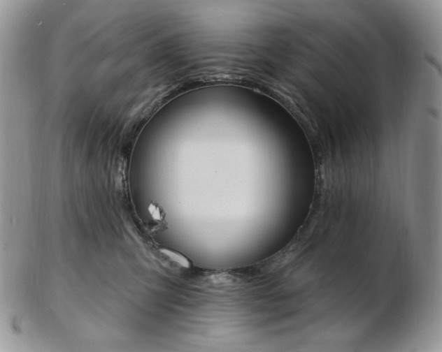 X0000102870423200808251245