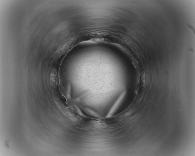 X0000102870424200808251245