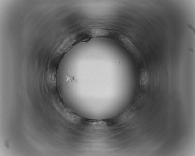 X0000102870426200808251245