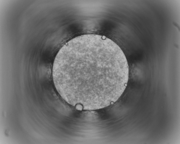 X0000102870427200808251245