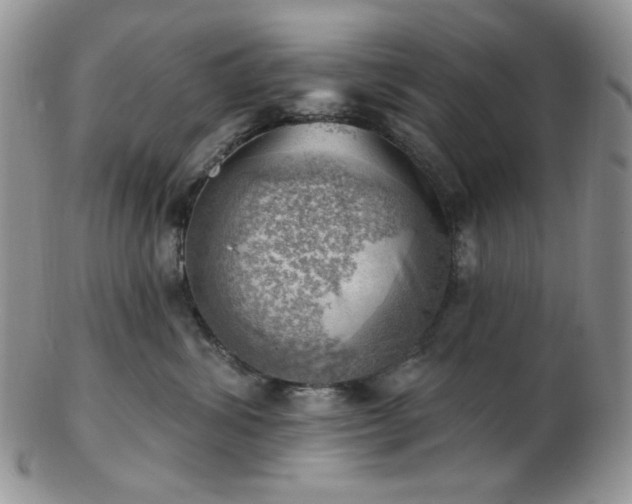 X0000102870428200808251245