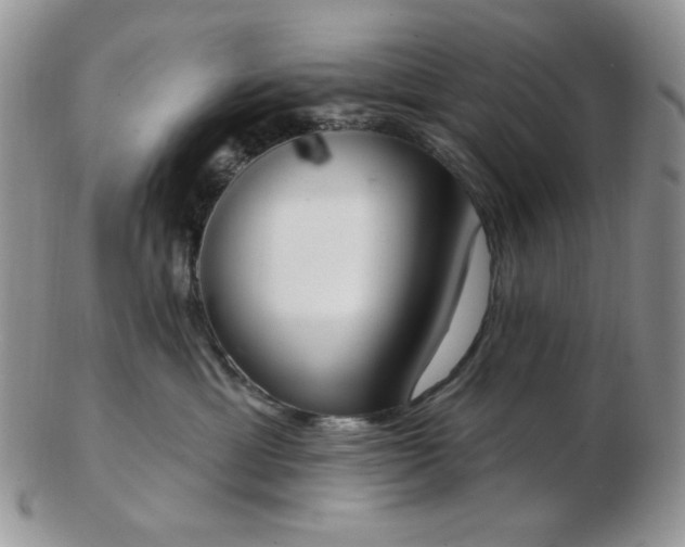 X0000102870429200808251245