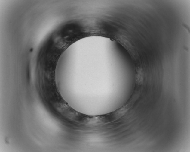 X0000102870430200808251245