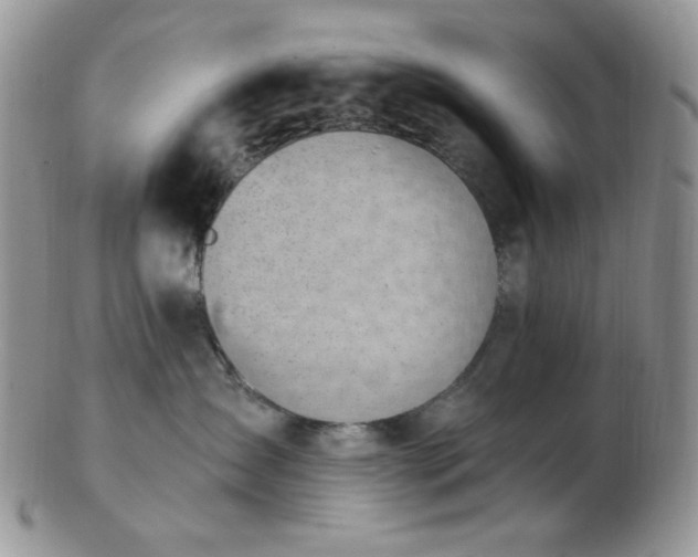 X0000102870431200808251245