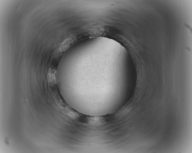 X0000102870432200808251245