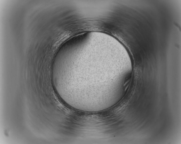 X0000102870433200808251245