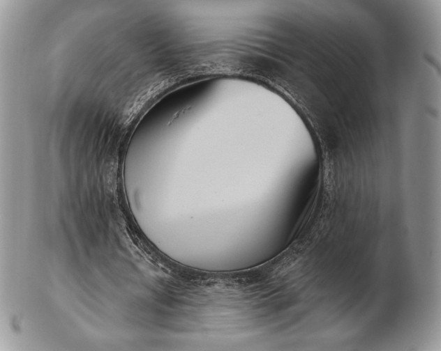 X0000102870434200808251245