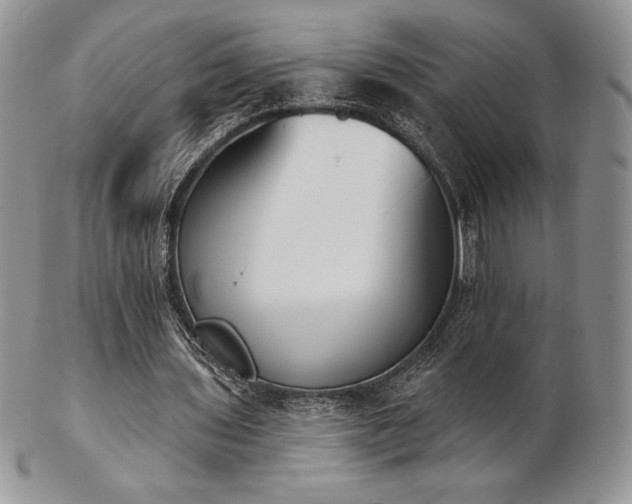 X0000102870435200808251245