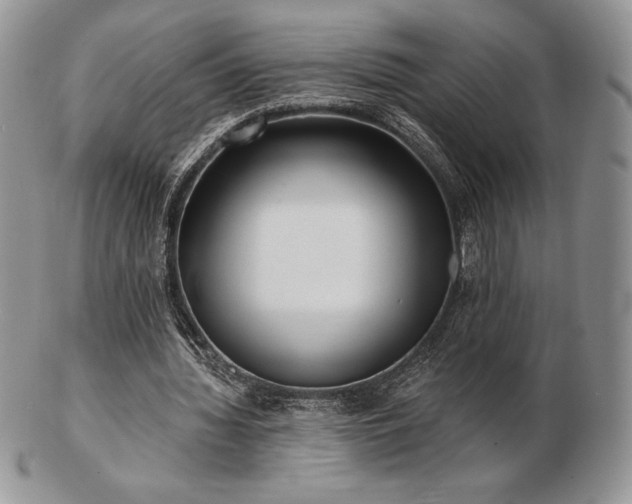 X0000102870436200808251245