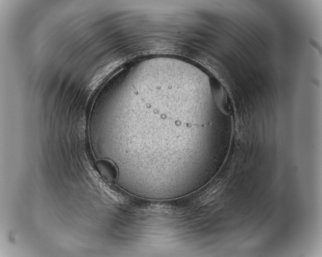 X0000102870437200808251245