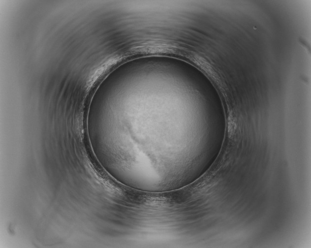 X0000102870438200808251245