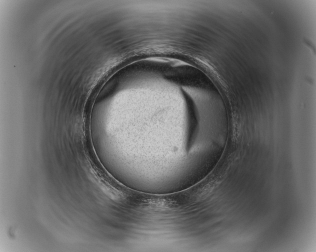 X0000102870439200808251245