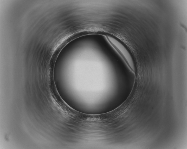 X0000102870440200808251245