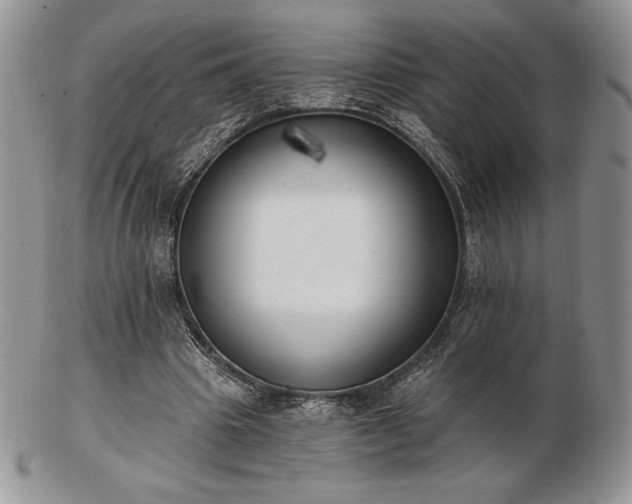 X0000102870441200808251245