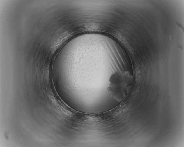 X0000102870442200808251245