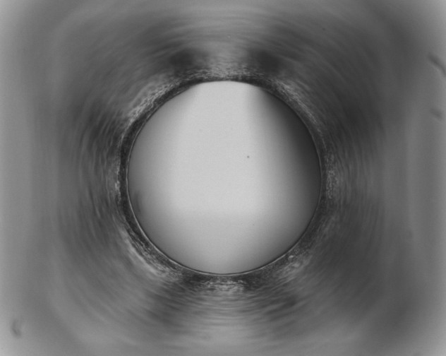 X0000102870443200808251245