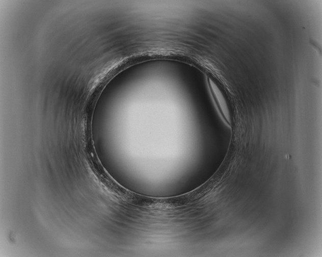 X0000102870444200808251245