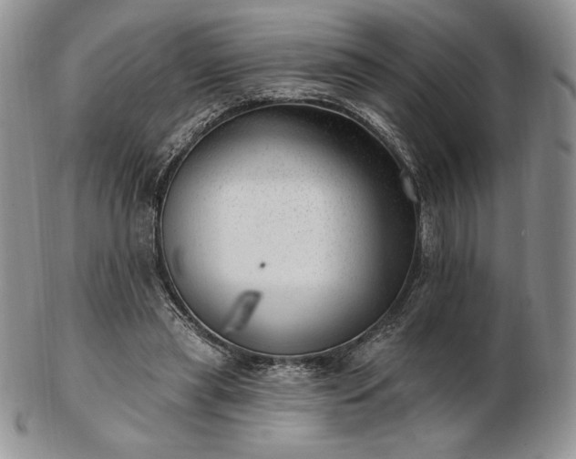 X0000102870445200808251245