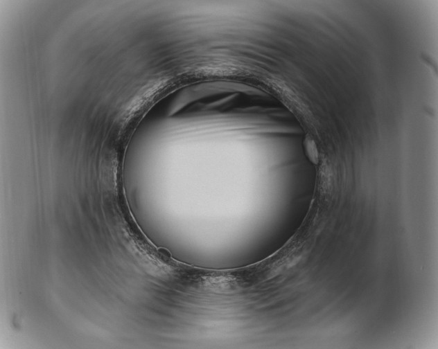 X0000102870446200808251245