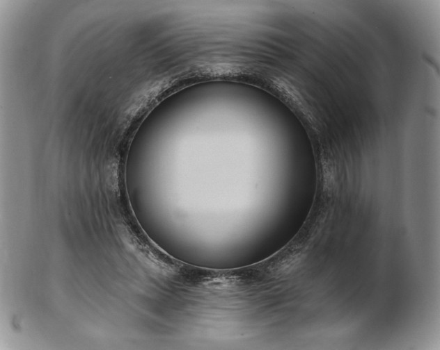 X0000102870447200808251245